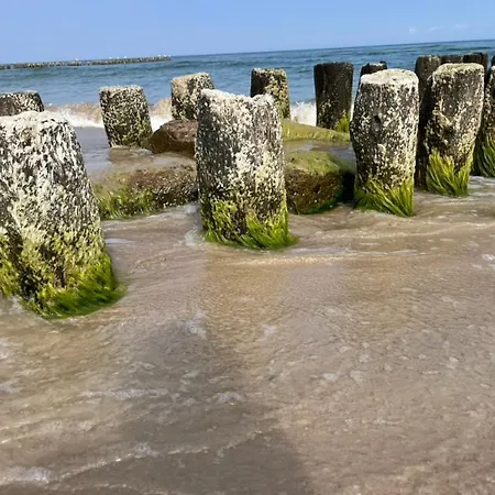 Baltycka 2 * Sarbinowo