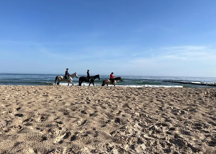 Baltycka 2 Apartamento