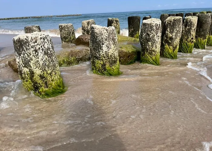 Baltycka 2 * Sarbinowo