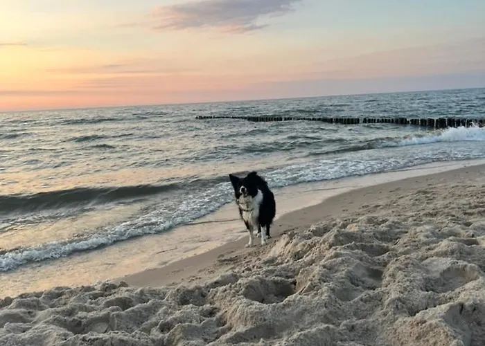 Baltycka 2 Apartamento *